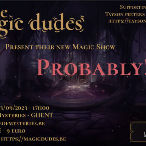 Magic Dudes Show Probably